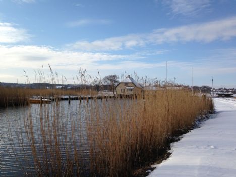 SF: Finansloven tager vigtigt skridt for Randers fjord og Horsens fjord