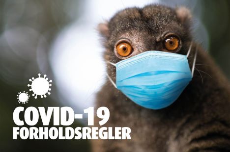 DUMMECORONA  NYE RESTRIKTIONER OG TILTAG