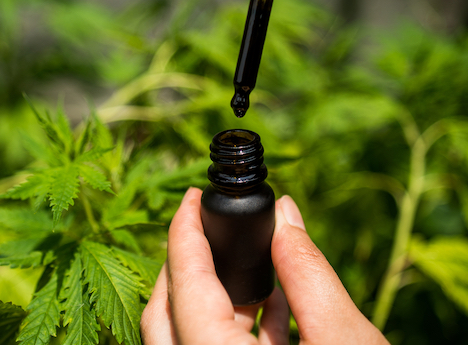 Naturlig medicin: CDB-olie og dets mange formål