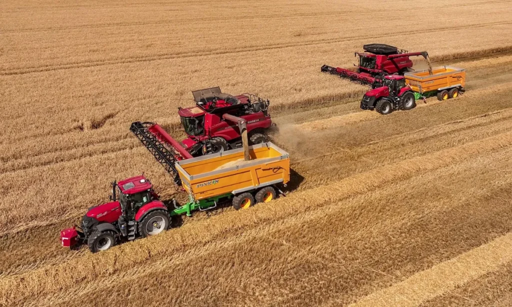 Opgørelse af høsten 2025 viser rekordhøj kornhøst i Danmark efter to svære år