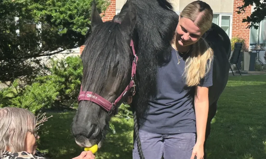 17-årig elev skaber magiske øjeblikke: Bragte hest ind på plejehjemmet i Vorup