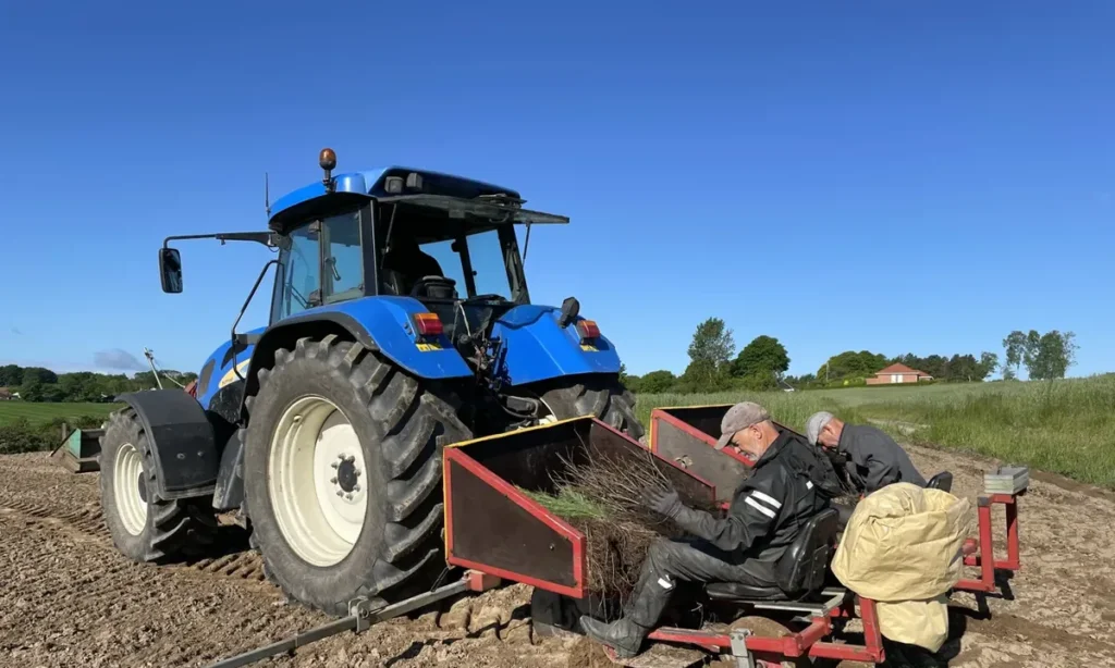 Tag familien med til træplantning i Romalt: Stor fest i Vildrose Skov med natur, maskiner og familiehygge