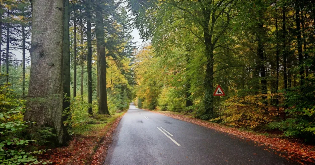 Dagens vejr: Efterårsdagen byder på skyer og enkelte byger