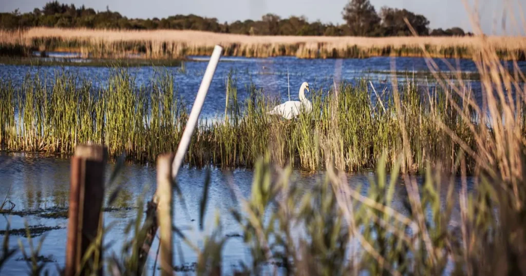 Ny plan skal styrke bæredygtig turisme ved Randers Fjord – En del af en større plan for Jyllands Østkyst