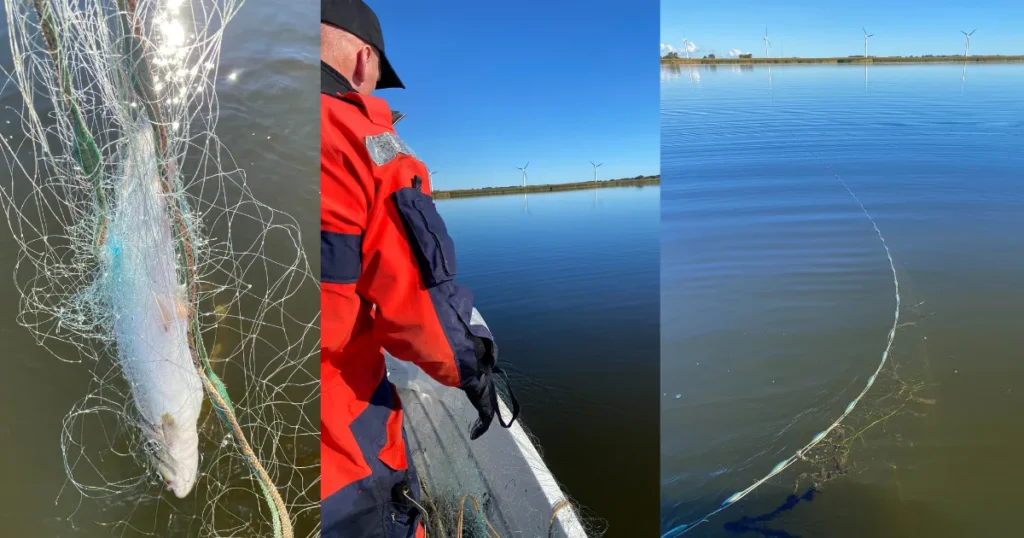 Ulovligt fiskeri stoppet i Randers Fjord – Fiskerikontrollen fjernede ulovlige garn i Grund Fjord efter borgeranmeldelse