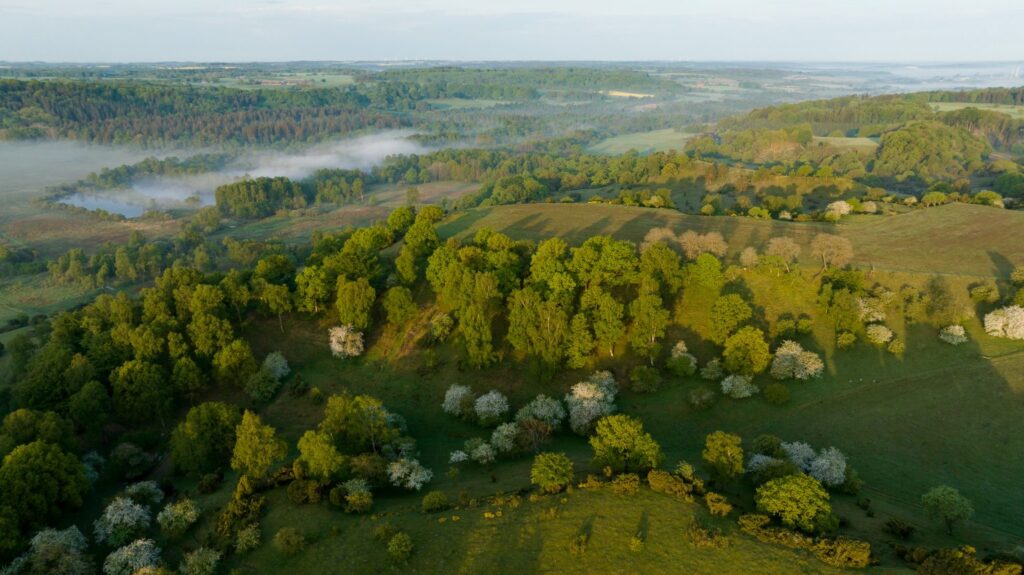 Naturgenopretning har givet fantastiske resultater: Masser af sjældne arter spreder sig i Læsten Bakker