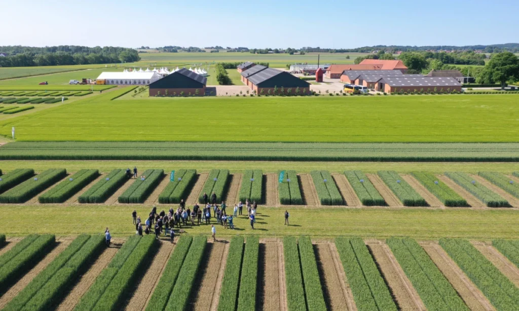 Klimarådet advarer: Der er langt fra politiske aftaler til reelle CO₂-reduktioner