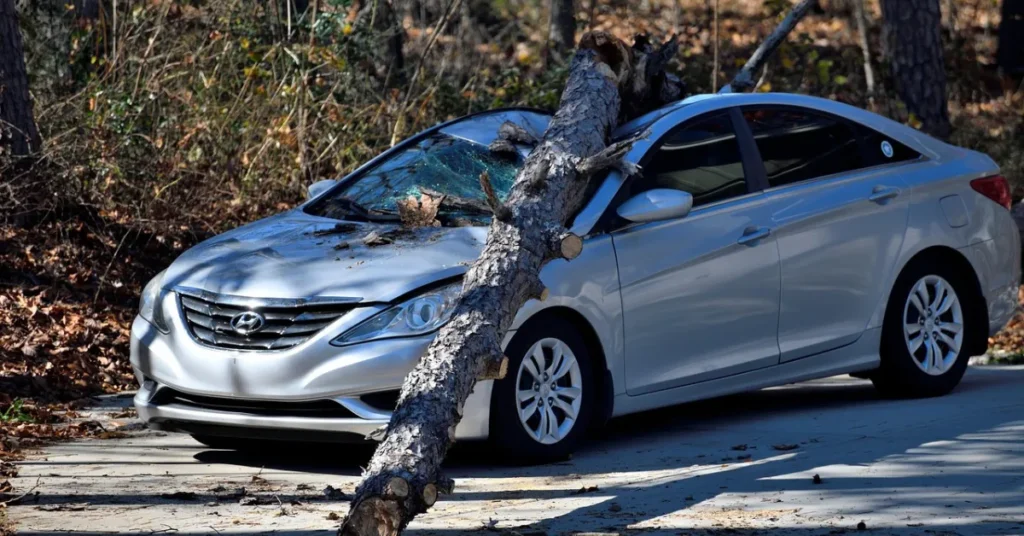 Så meget er bilforsikringer steget