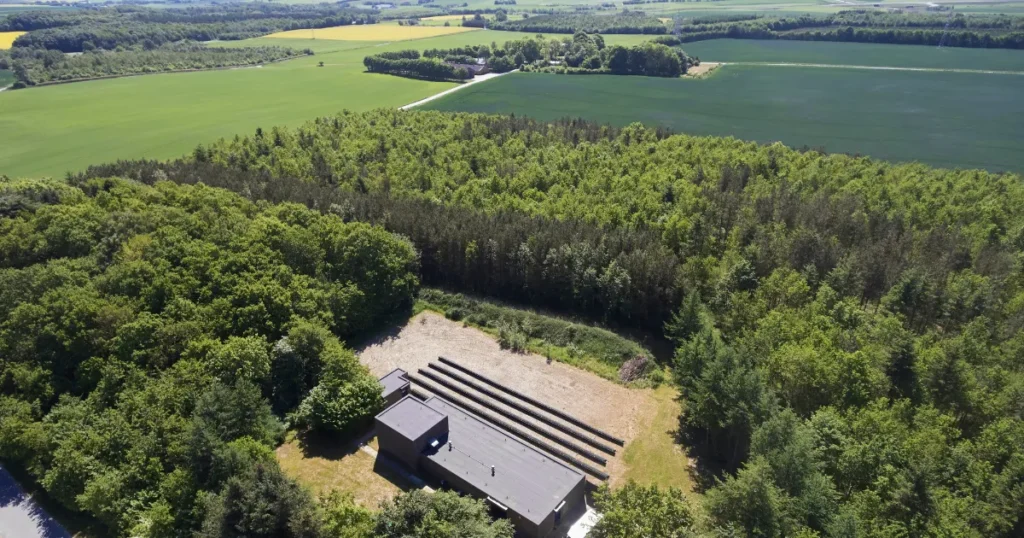 Ny bynær kæmpe skov på størrelse med 300 fodboldbaner, skal beskytte drikkevandet i Randers