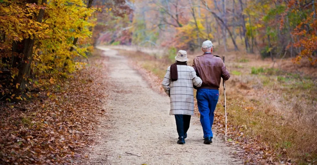 Brænd julemiddagen af i naturen: To oplagte gåture langs Randers Fjord