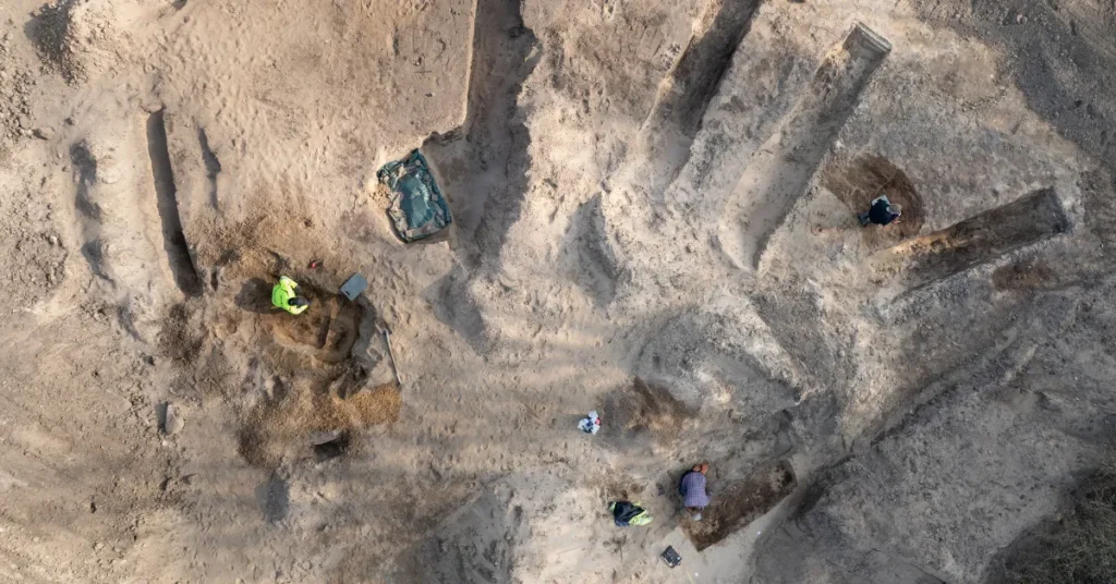 Moesgaard får 5,5 mio. kr. til nyt projekt: Skal gentænke køn i vikingetiden