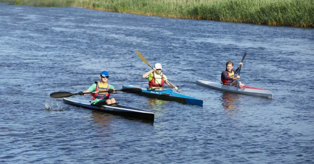 Brugerråd for sejlads på Gudenåen søger nye medlemmer: Frist 31. januar