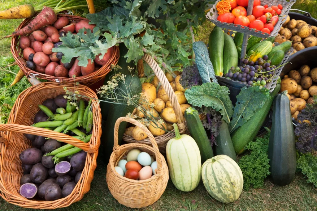 Haveselskabet: Gør køkkenhaven til en del af beredskabet