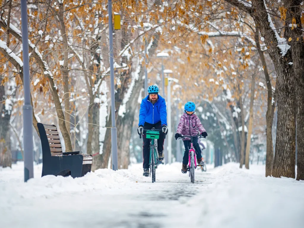 Dagens vejr: Snebyger på vej – Syd får først, og i løbet af dagen breder det sig mod øst