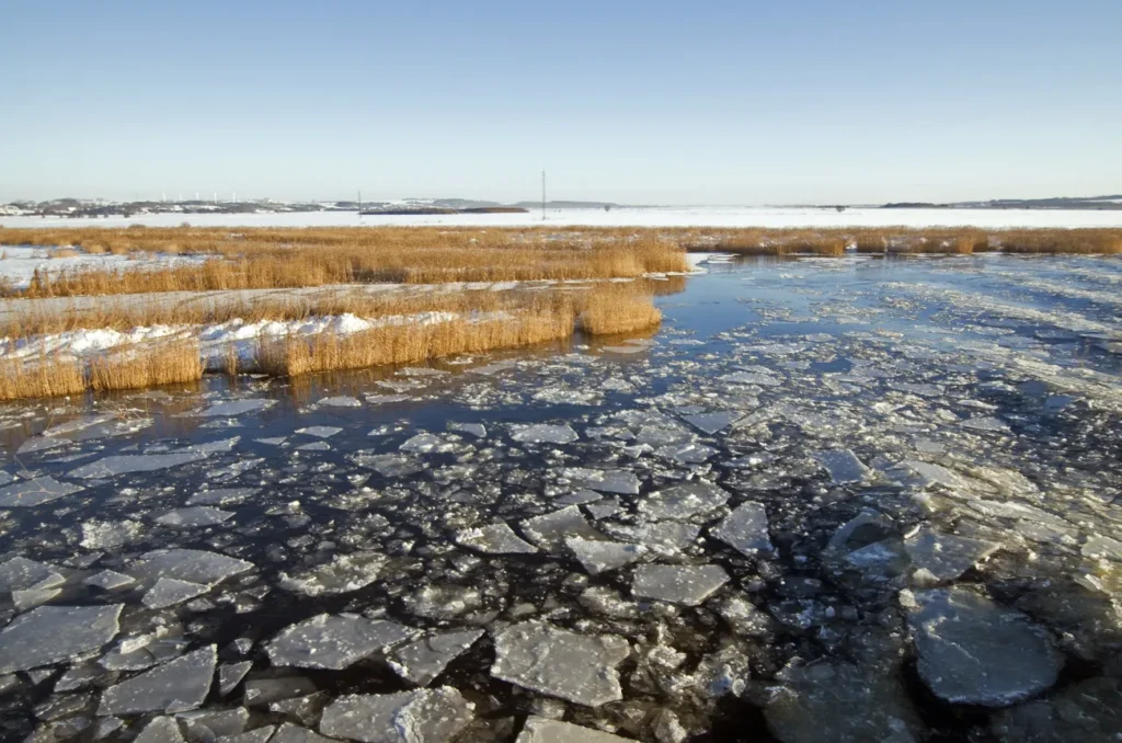 Randers Kommune advarer: Hold jer fra søer og åer – isen er endnu usikker