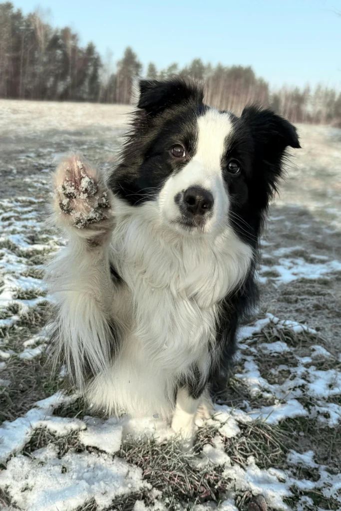 013c3a6f 7205 402e 87b9 8d5273076df7