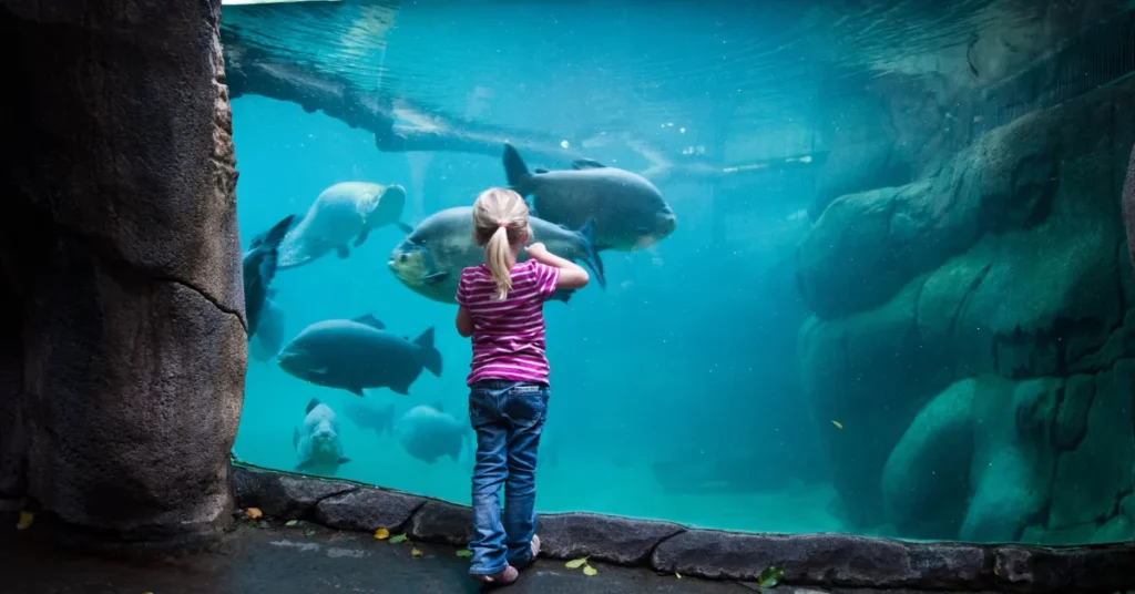 Vinterferien i Randers: Tag på “tropetur” i Regnskoven og få varmen tilbage