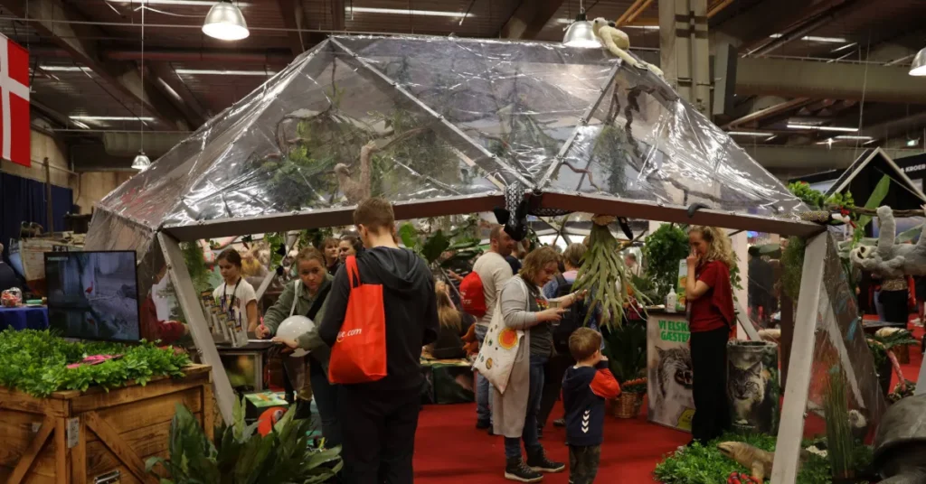 Ferie for alle Randers Regnskov