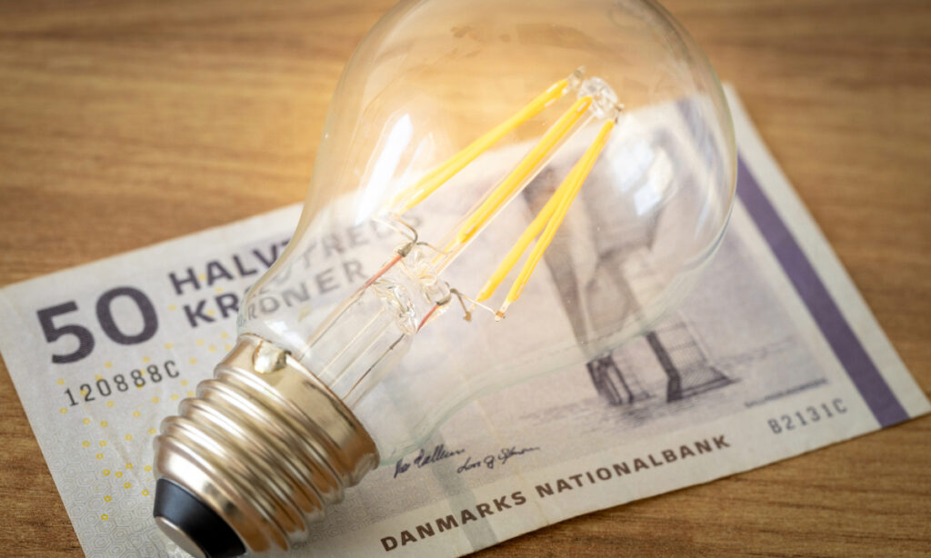 Elprisen steg i januar: Højeste niveau siden februar sidste år