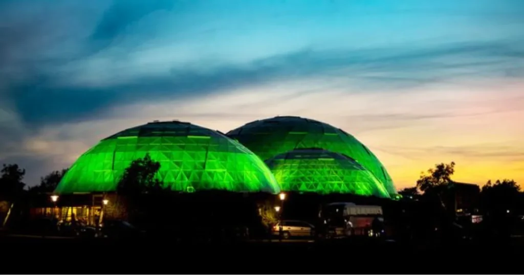 Gratis familieløb ved Randers Regnskov: Royal Side Run varmer op til Royal Run